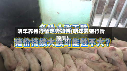 明年养猪行情走势如何(明年养猪行情预测)-第1张图片
