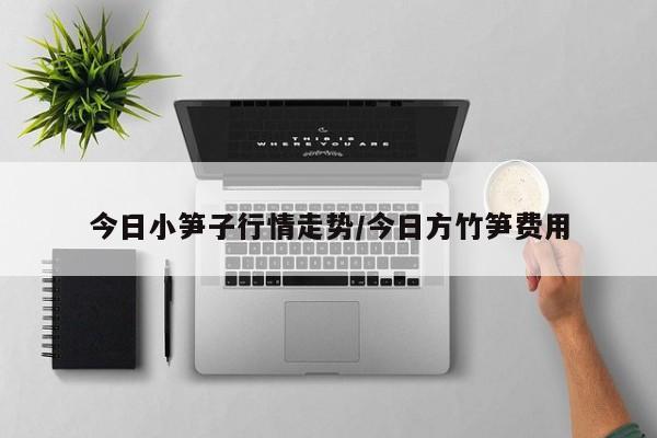 今日小笋子行情走势/今日方竹笋费用