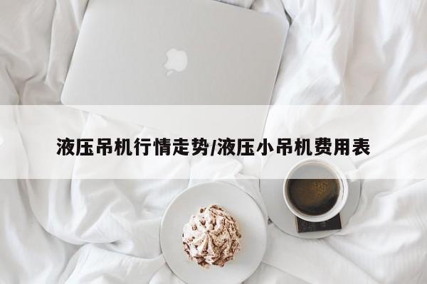 液压吊机行情走势/液压小吊机费用表