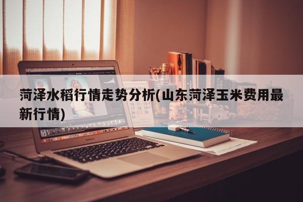 菏泽水稻行情走势分析(山东菏泽玉米费用最新行情)