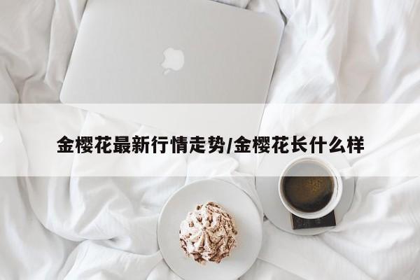 金樱花最新行情走势/金樱花长什么样