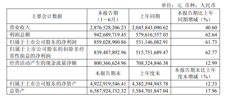 端侧AI SoC龙头，净利润增长超60%