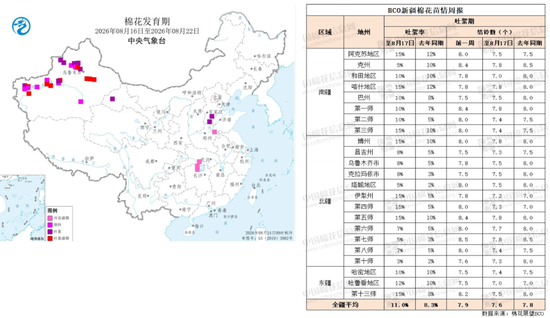 棉花：外盘创新高	，郑棉能否突破？